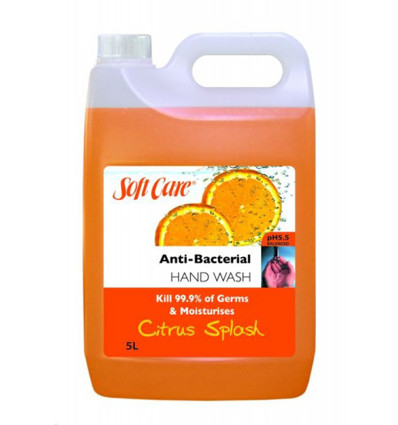 Doux Soin Antibactérien lavage à la Main Citrus Splash 5l x 2