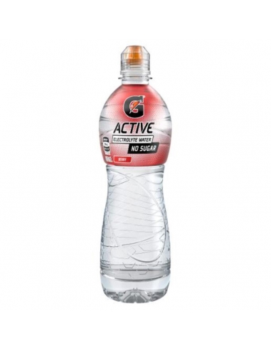 Gatorade Berry G-Active Sports饮料600ml