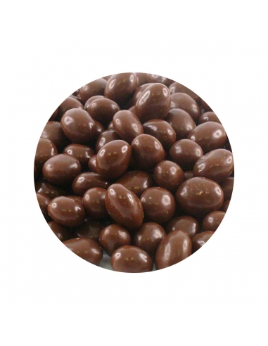 Fyna Choc Sultanas 6 5 kg