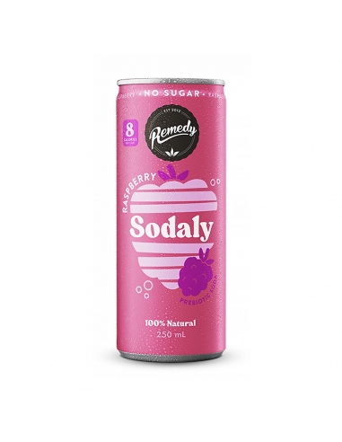 Remedy Framboise de soude 250ml x 12