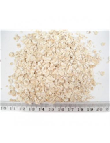 Trumps Oats Quick Cook 10 Kg x 1