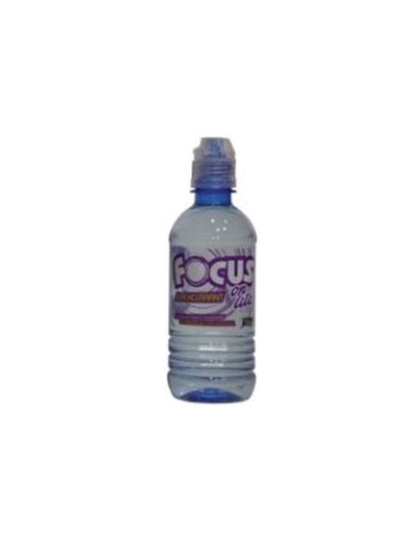 Focus Lite Zwarte bes 250 ml x 24