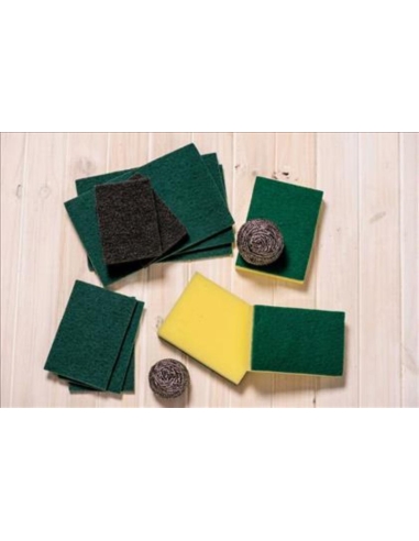 Cater Clean Scourer Green 150 par 100mm 10 Pack x 1