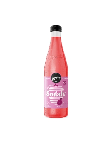 Remedy Framboise de soude 330ml x 8