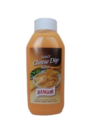 Bangor Sauce Cheese Dip Salsa 960g x 1