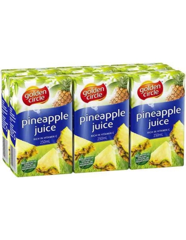 Golden Circle Succo di ananas e mango 6 confezioni da 250 ml x 1