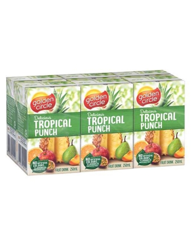 Golden Circle Succo di punch tropicale 6 confezioni da 250 ml x 1