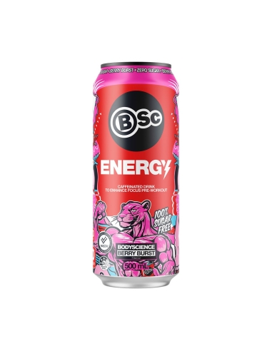 贝斯 Energy Berry Burst 500ml x 12 (英语)