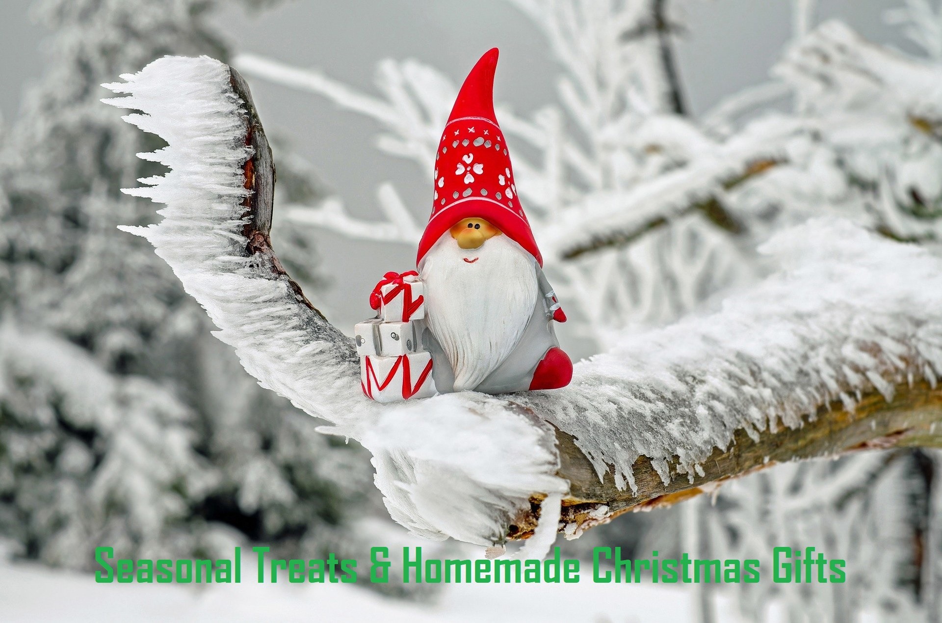 Seasonal Treats and Homemade Christmas Gift Ideas